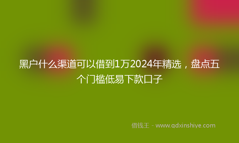 黑户什么渠道可以借到1万2024年精选，盘点五个门槛低易下款口子
