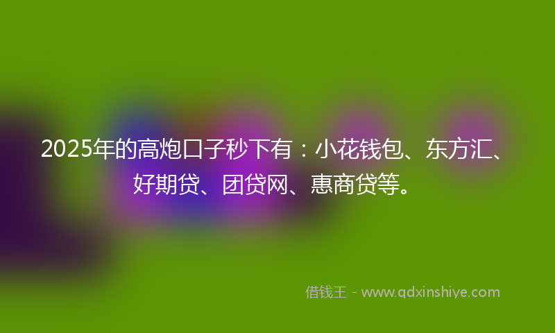 2025年的高炮口子秒下有：小花钱包、东方汇、好期贷、团贷网、惠商贷等。