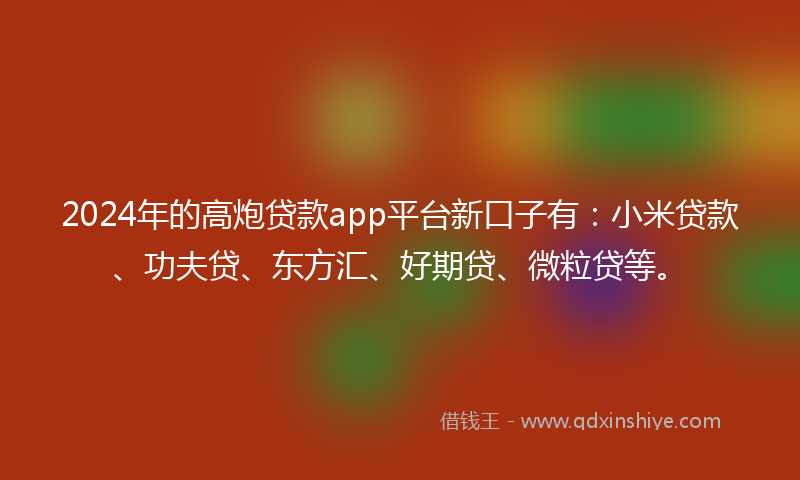 2024年的高炮贷款app平台新口子有：小米贷款、功夫贷、东方汇、好期贷、微粒贷等。