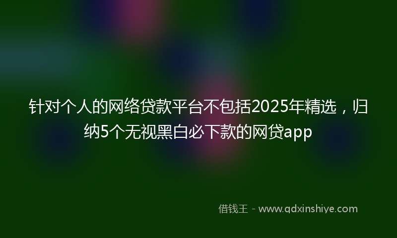 针对个人的网络贷款平台不包括2025年精选，归纳5个无视黑白必下款的网贷app