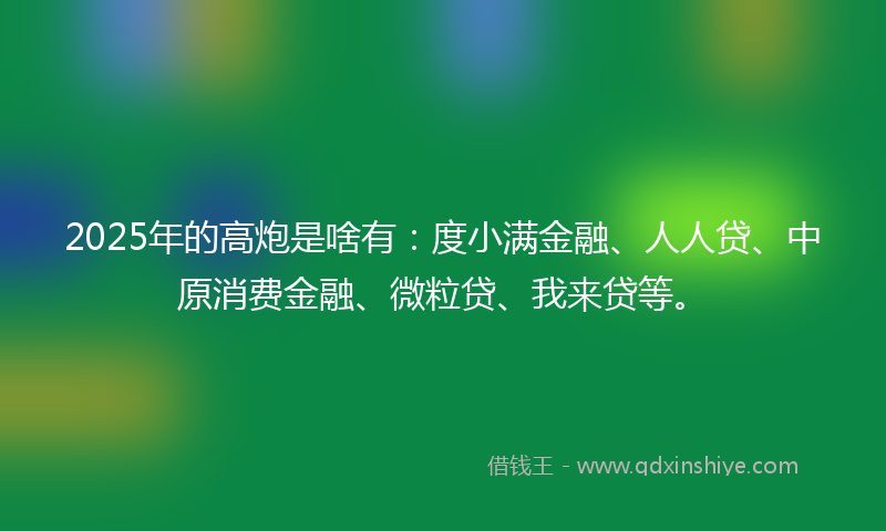 2025年的高炮是啥有：度小满金融、人人贷、中原消费金融、微粒贷、我来贷等。