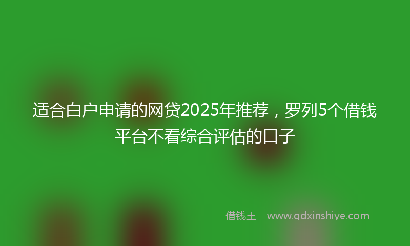 适合白户申请的网贷2025年推荐，罗列5个借钱平台不看综合评估的口子