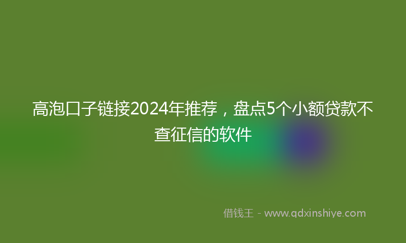 高泡口子链接2024年推荐，盘点5个小额贷款不查征信的软件