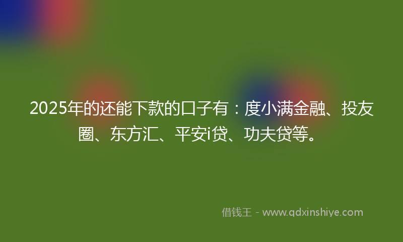 2025年的还能下款的口子有：度小满金融、投友圈、东方汇、平安i贷、功夫贷等。