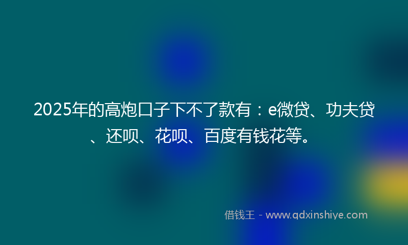2025年的高炮口子下不了款有：e微贷、功夫贷、还呗、花呗、百度有钱花等。