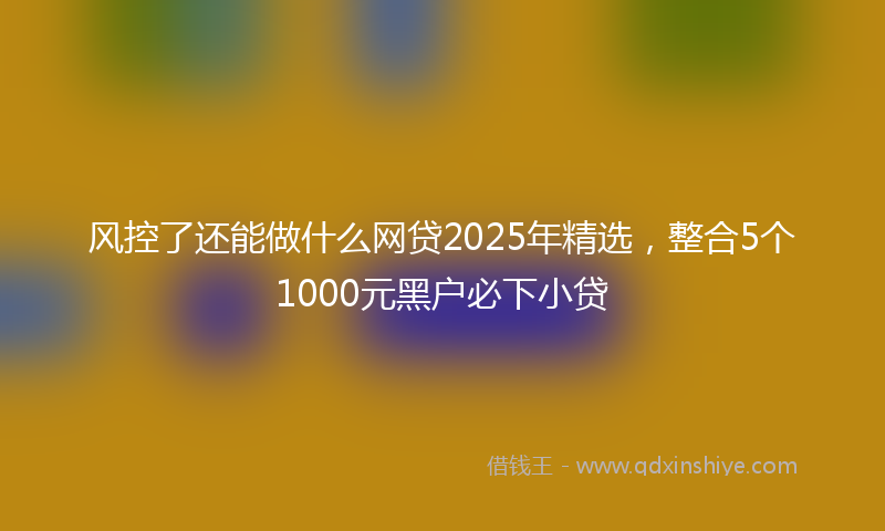 风控了还能做什么网贷2025年精选，整合5个1000元黑户必下小贷
