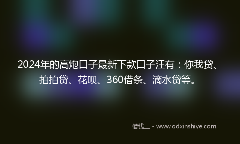 2024年的高炮口子最新下款口子汪有：你我贷、拍拍贷、花呗、360借条、滴水贷等。