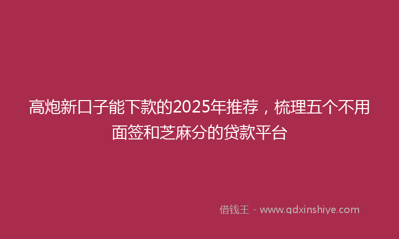 高炮新口子能下款的2025年推荐，梳理五个不用面签和芝麻分的贷款平台