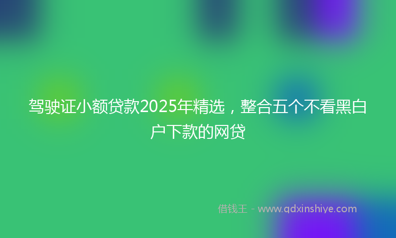 驾驶证小额贷款2025年精选，整合五个不看黑白户下款的网贷