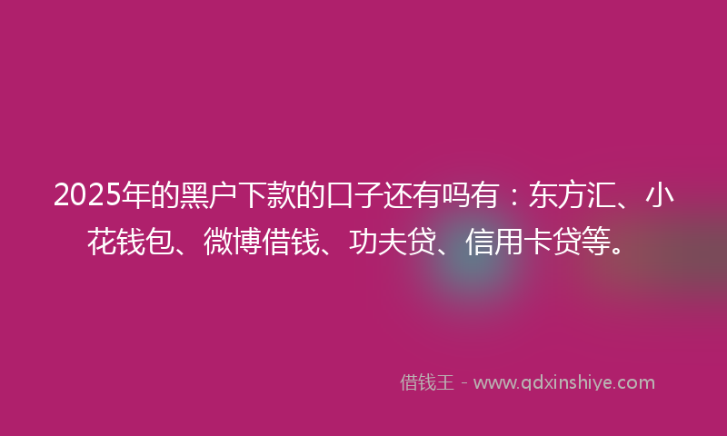 2025年的黑户下款的口子还有吗有：东方汇、小花钱包、微博借钱、功夫贷、信用卡贷等。