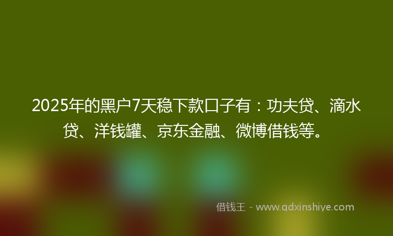 2025年的黑户7天稳下款口子有：功夫贷、滴水贷、洋钱罐、京东金融、微博借钱等。
