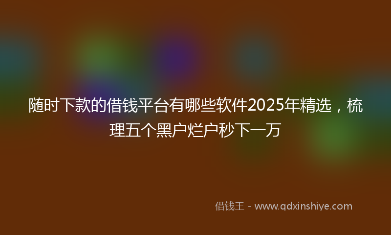 随时下款的借钱平台有哪些软件2025年精选，梳理五个黑户烂户秒下一万
