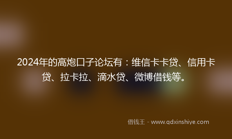 2024年的高炮口子论坛有：维信卡卡贷、信用卡贷、拉卡拉、滴水贷、微博借钱等。