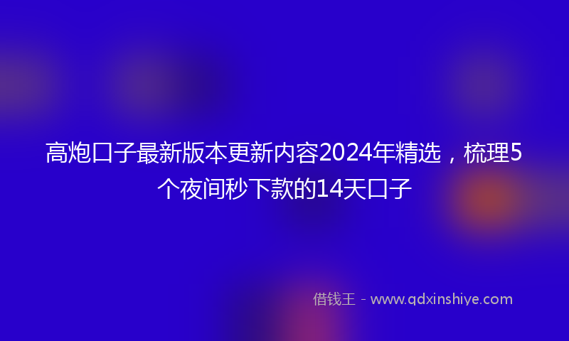 高炮口子最新版本更新内容2024年精选，梳理5个夜间秒下款的14天口子