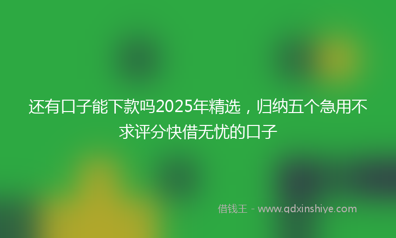 还有口子能下款吗2025年精选，归纳五个急用不求评分快借无忧的口子