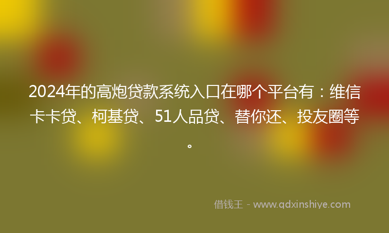 2024年的高炮贷款系统入口在哪个平台有：维信卡卡贷、柯基贷、51人品贷、替你还、投友圈等。