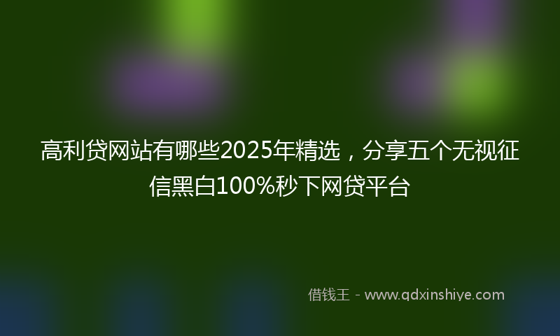 高利贷网站有哪些2025年精选，分享五个无视征信黑白100%秒下网贷平台