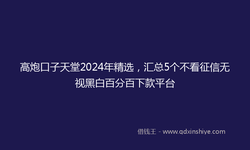 高炮口子天堂2024年精选，汇总5个不看征信无视黑白百分百下款平台