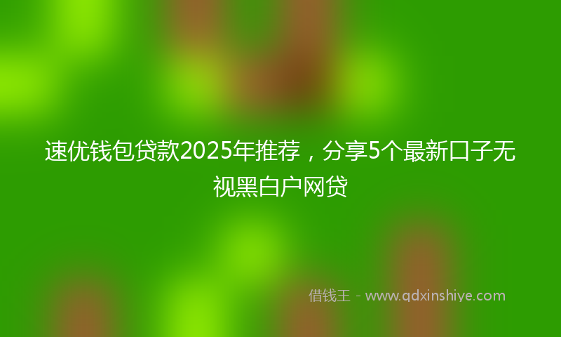 速优钱包贷款2025年推荐，分享5个最新口子无视黑白户网贷