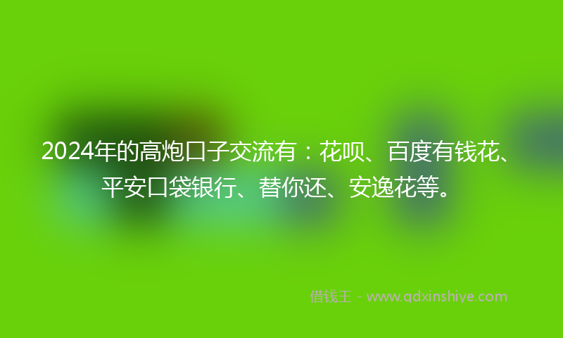 2024年的高炮口子交流有：花呗、百度有钱花、平安口袋银行、替你还、安逸花等。