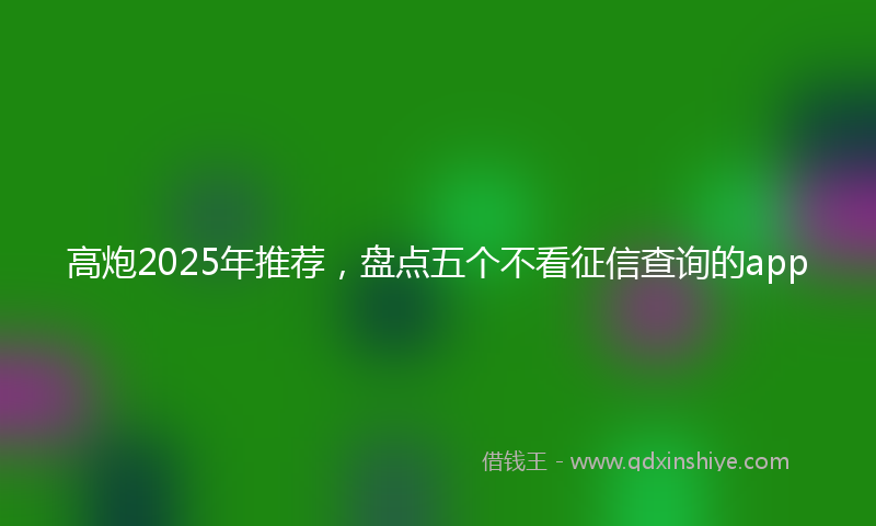 高炮2025年推荐，盘点五个不看征信查询的app