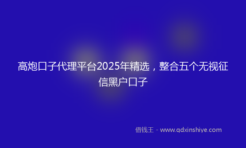 高炮口子代理平台2025年精选，整合五个无视征信黑户口子