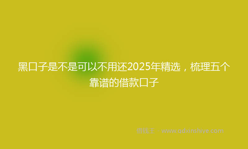 黑口子是不是可以不用还2025年精选，梳理五个靠谱的借款口子