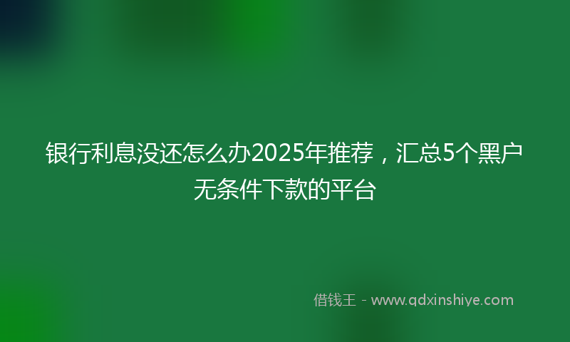 银行利息没还怎么办2025年推荐，汇总5个黑户无条件下款的平台