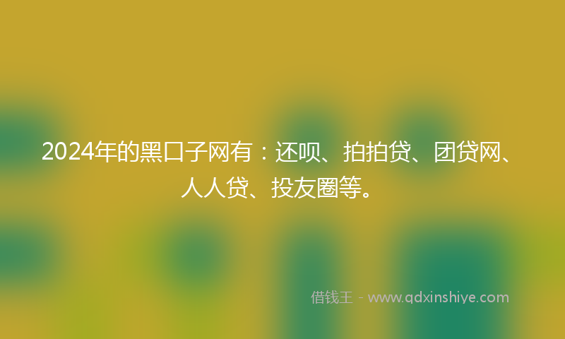 2024年的黑口子网有：还呗、拍拍贷、团贷网、人人贷、投友圈等。