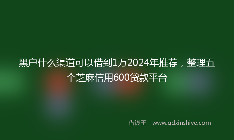 黑户什么渠道可以借到1万2024年推荐，整理五个芝麻信用600贷款平台