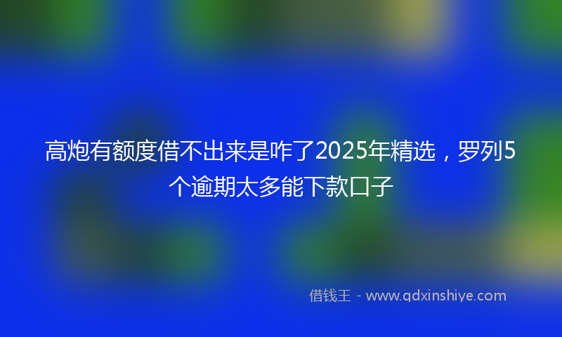 高炮有额度借不出来是咋了2025年精选，罗列5个逾期太多能下款口子