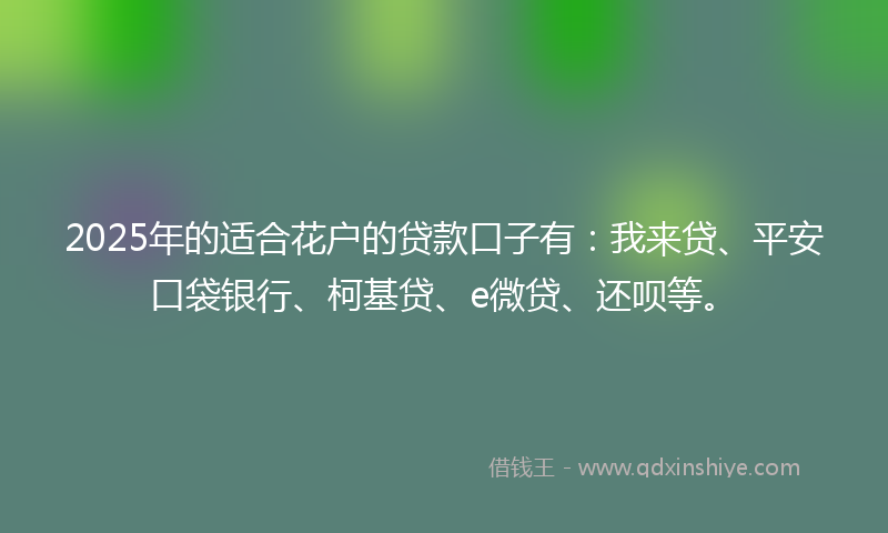 2025年的适合花户的贷款口子有：我来贷、平安口袋银行、柯基贷、e微贷、还呗等。