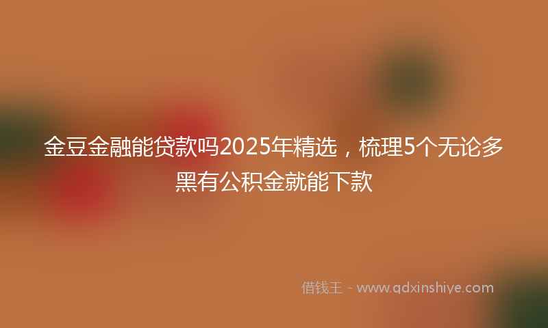 金豆金融能贷款吗2025年精选，梳理5个无论多黑有公积金就能下款