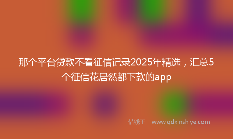 那个平台贷款不看征信记录2025年精选，汇总5个征信花居然都下款的app