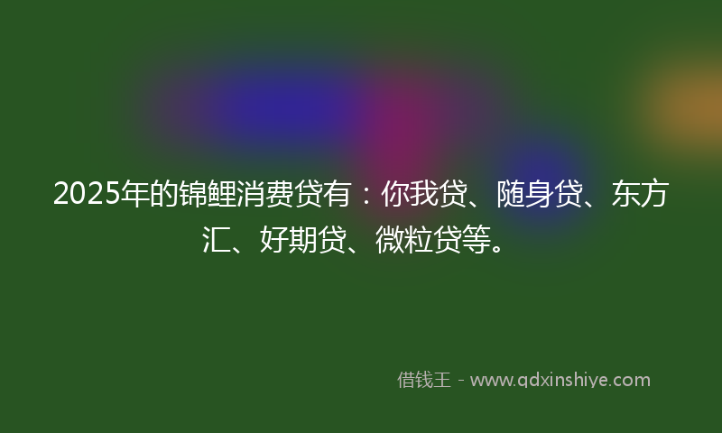 2025年的锦鲤消费贷有：你我贷、随身贷、东方汇、好期贷、微粒贷等。