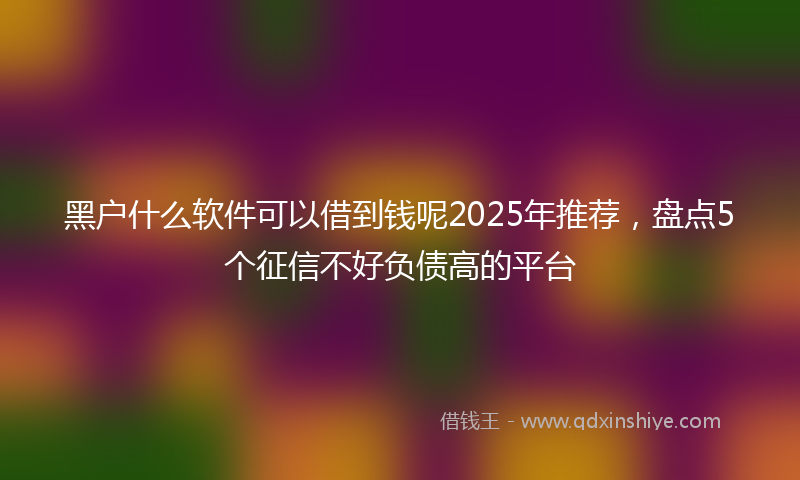 黑户什么软件可以借到钱呢2025年推荐，盘点5个征信不好负债高的平台