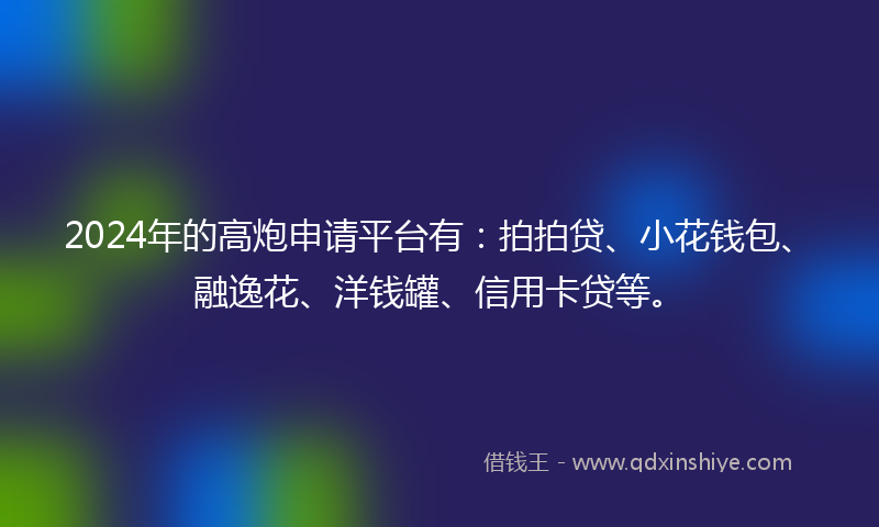 2024年的高炮申请平台有：拍拍贷、小花钱包、融逸花、洋钱罐、信用卡贷等。