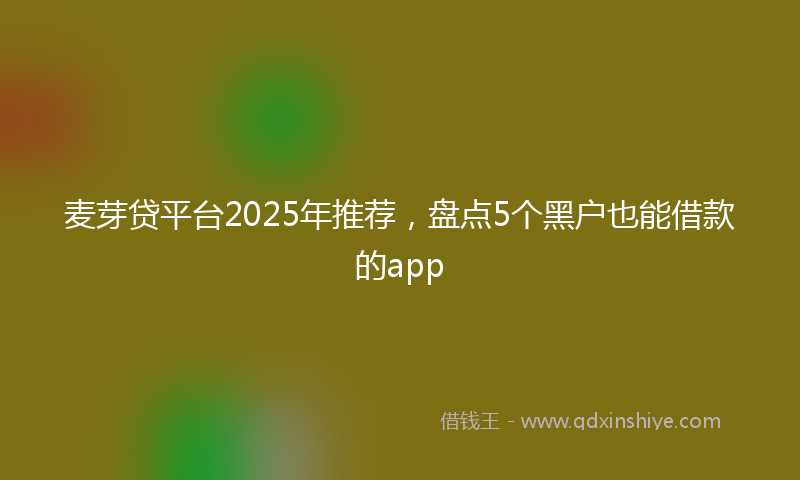麦芽贷平台2025年推荐，盘点5个黑户也能借款的app