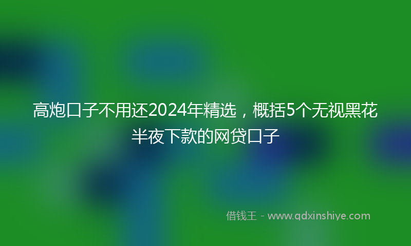 高炮口子不用还2024年精选，概括5个无视黑花半夜下款的网贷口子