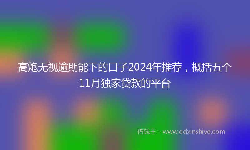 高炮无视逾期能下的口子2024年推荐，概括五个11月独家贷款的平台