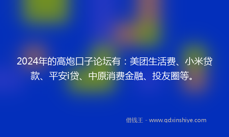 2024年的高炮口子论坛有：美团生活费、小米贷款、平安i贷、中原消费金融、投友圈等。