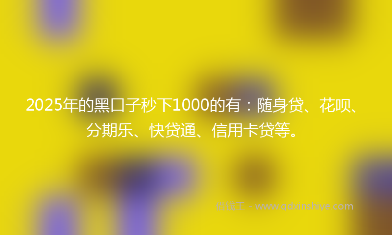 2025年的黑口子秒下1000的有：随身贷、花呗、分期乐、快贷通、信用卡贷等。