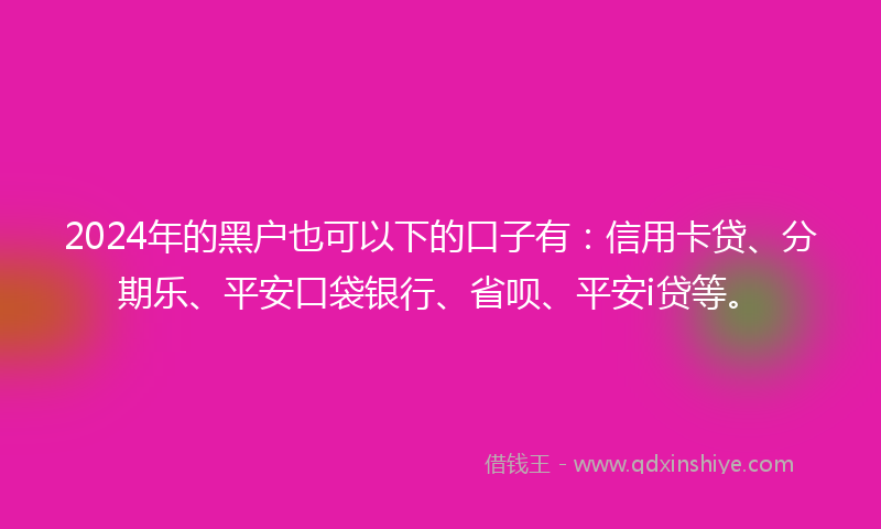 2024年的黑户也可以下的口子有：信用卡贷、分期乐、平安口袋银行、省呗、平安i贷等。
