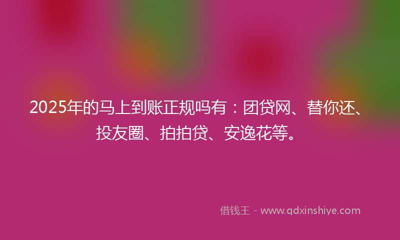 2025年的马上到账正规吗有：团贷网、替你还、投友圈、拍拍贷、安逸花等。