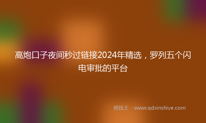 高炮口子夜间秒过链接2024年精选，罗列五个闪电审批的平台