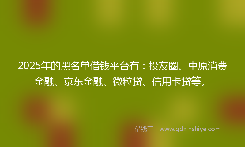 2025年的黑名单借钱平台有：投友圈、中原消费金融、京东金融、微粒贷、信用卡贷等。