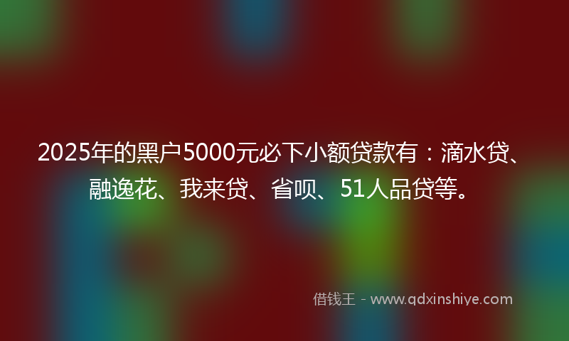 2025年的黑户5000元必下小额贷款有：滴水贷、融逸花、我来贷、省呗、51人品贷等。