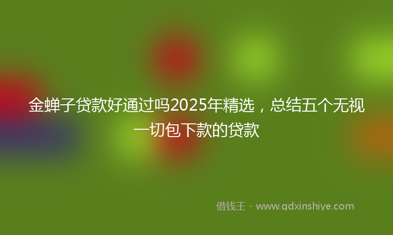 金蝉子贷款好通过吗2025年精选，总结五个无视一切包下款的贷款