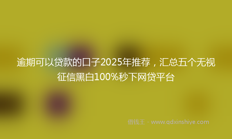 逾期可以贷款的口子2025年推荐，汇总五个无视征信黑白100%秒下网贷平台