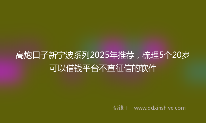 高炮口子新宁波系列2025年推荐，梳理5个20岁可以借钱平台不查征信的软件